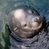 IMG_3774 IMG_3774