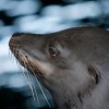 IMG_3862 IMG_3862