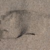 Sandy Footprint