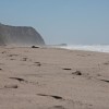 Foggy Beach