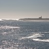 Santa Cruz Santa Cruz
