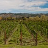 Napa Valley Napa Valley