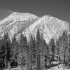 Mount Rose Mount Rose
