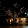 Naples, Florida