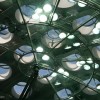 Underneath the Living Roof