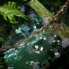 Through the Aquarium
