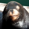 Sunbathing