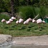 Pretty in Pink