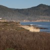 Ano Nuevo State Reserve